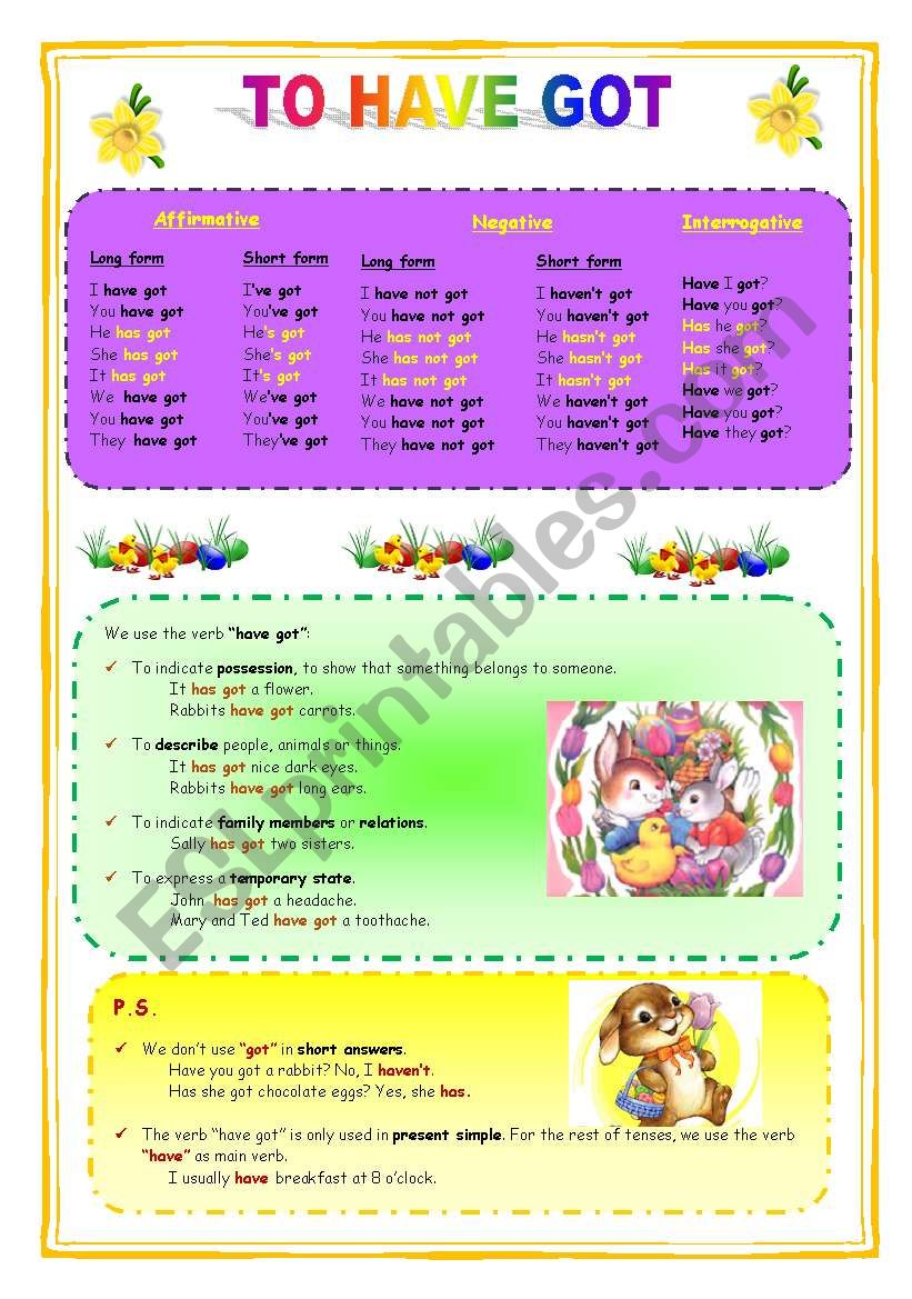 To have got - Exercises worksheet