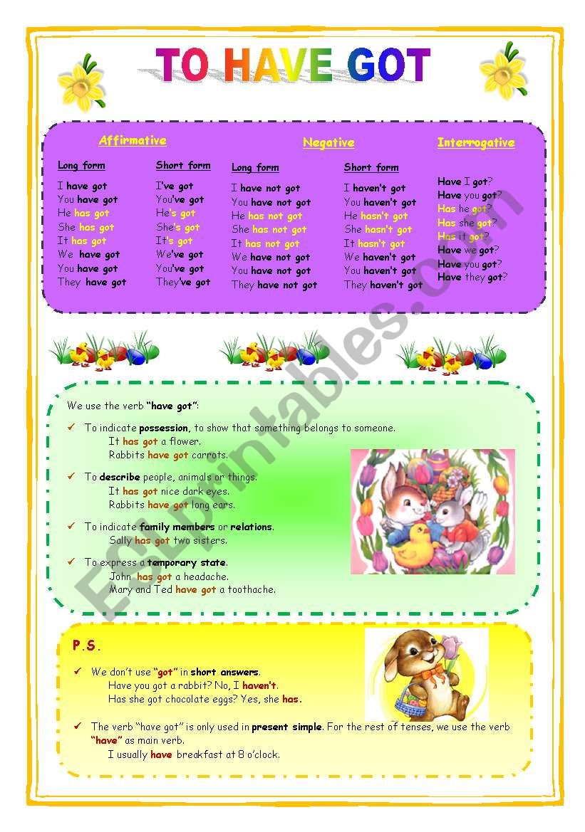 To have got - Exercises worksheet