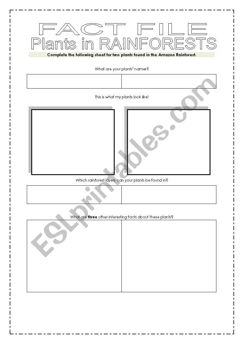 Plants in rainforests worksheet