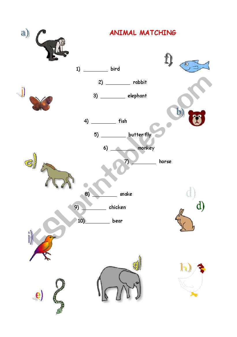 English worksheets: Animal Matching