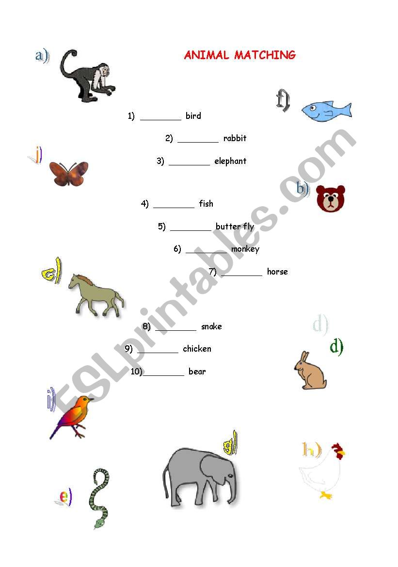 English worksheets: Animal Matching English worksheets: Animal Matching