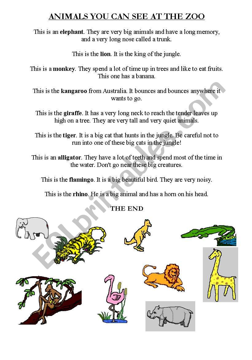 animals worksheet