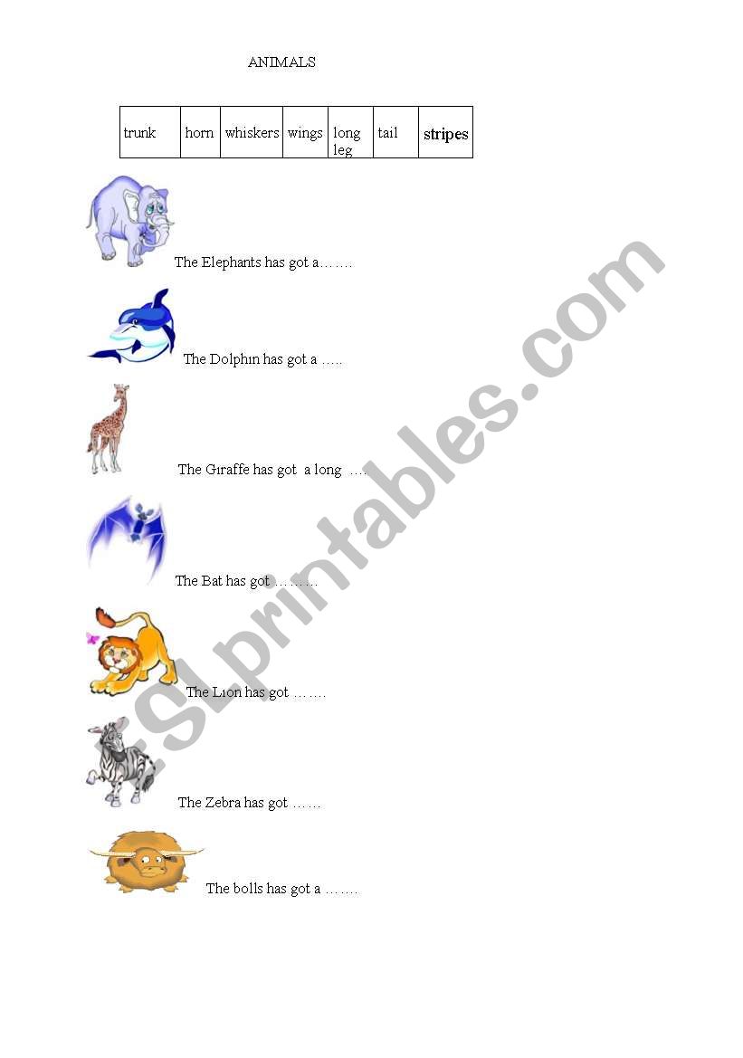 ANMAL worksheet