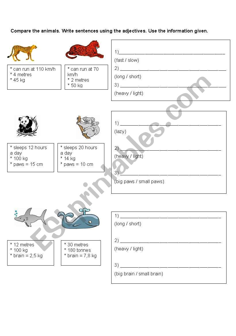 Compare the Animals worksheet