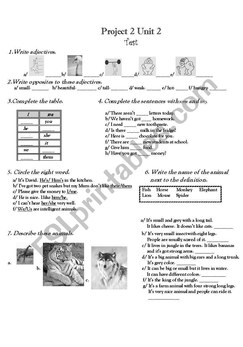 Test worksheet