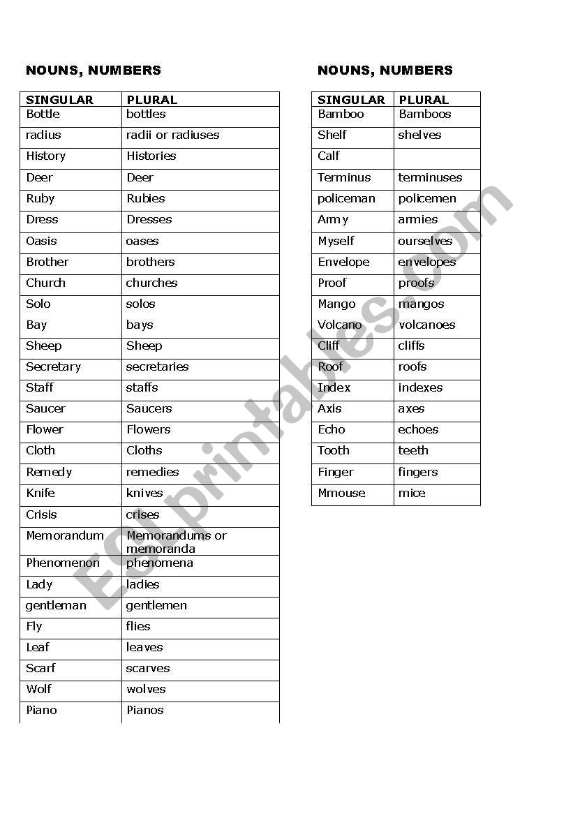 Singular - Plural worksheet