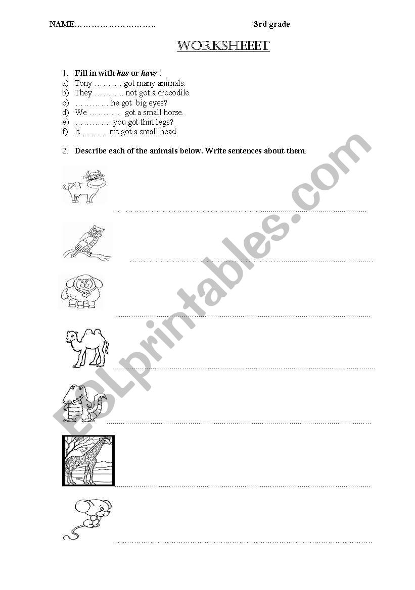 Describe the animal worksheet