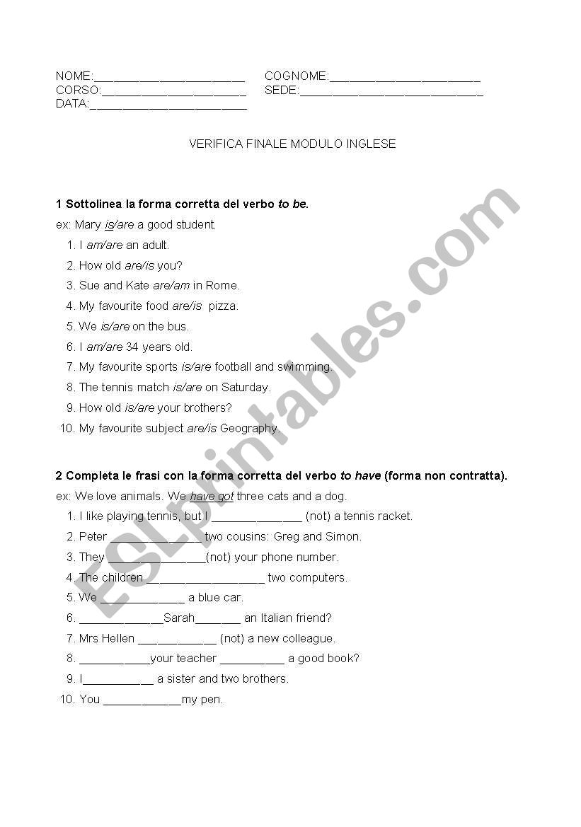 test worksheet