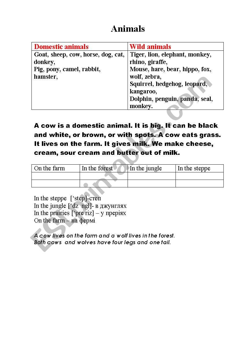 Animals worksheet
