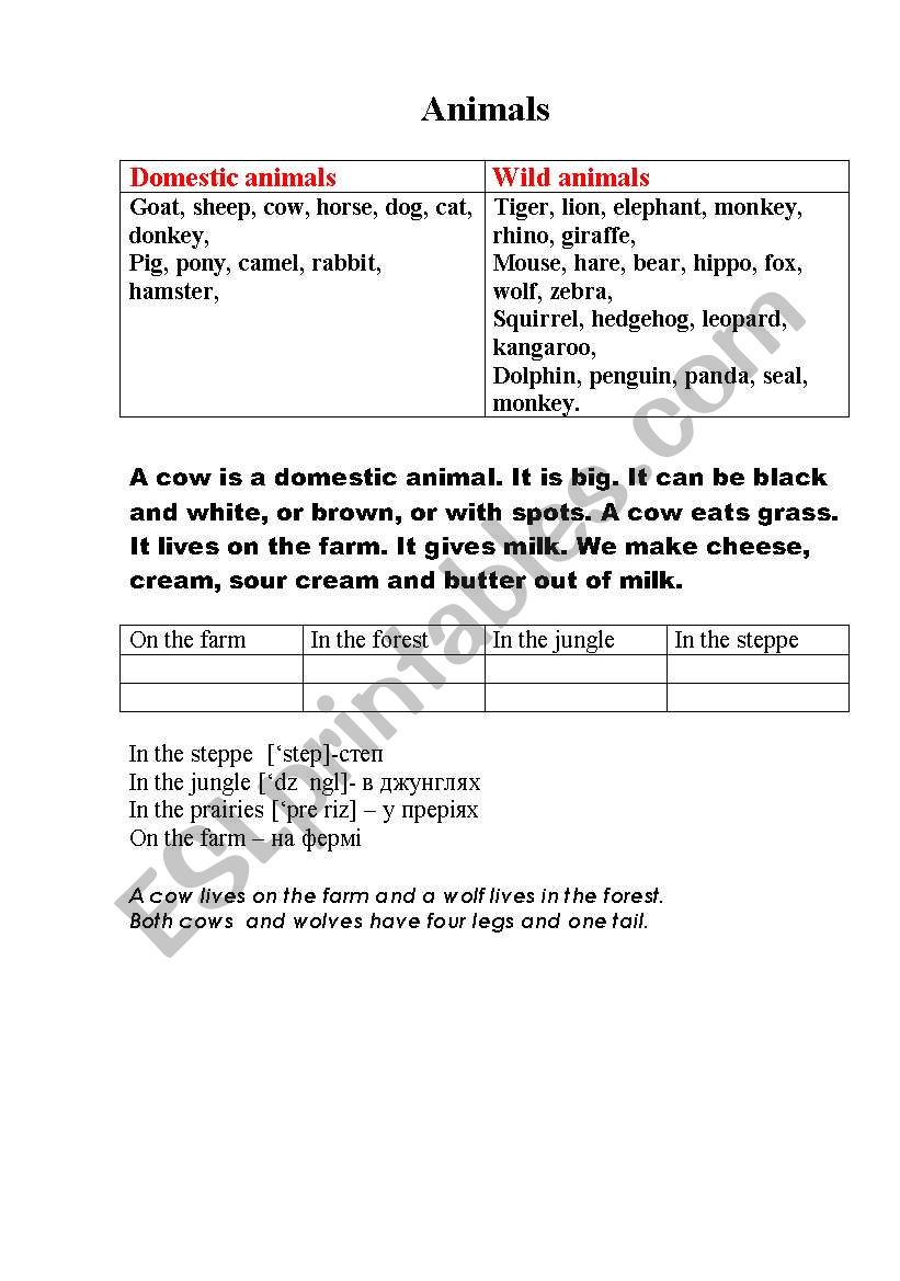 Animals worksheet