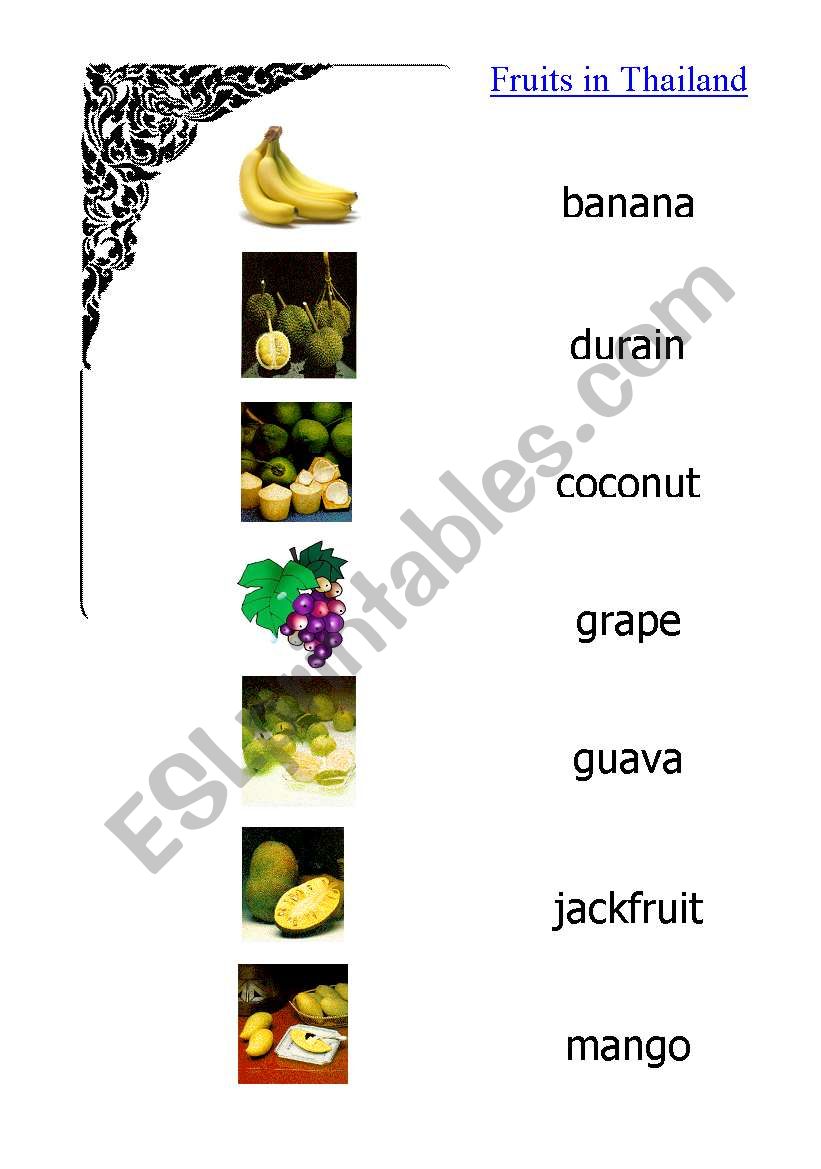 Fruits in Thailand worksheet