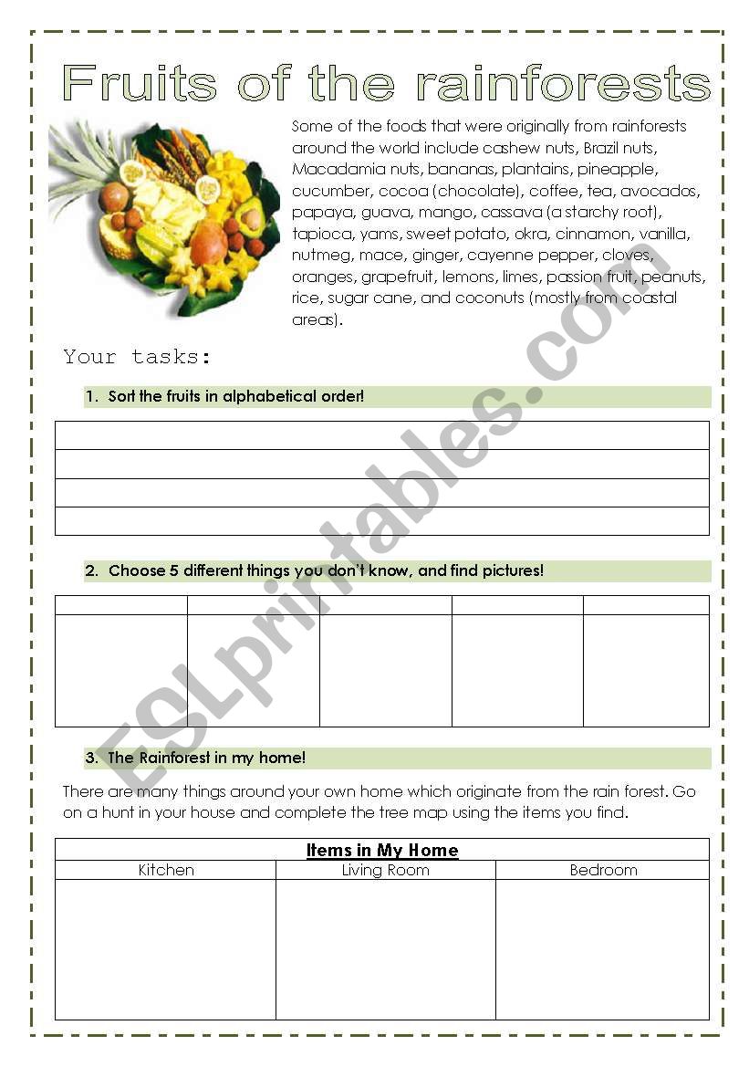 Fruits of the rainforest worksheet