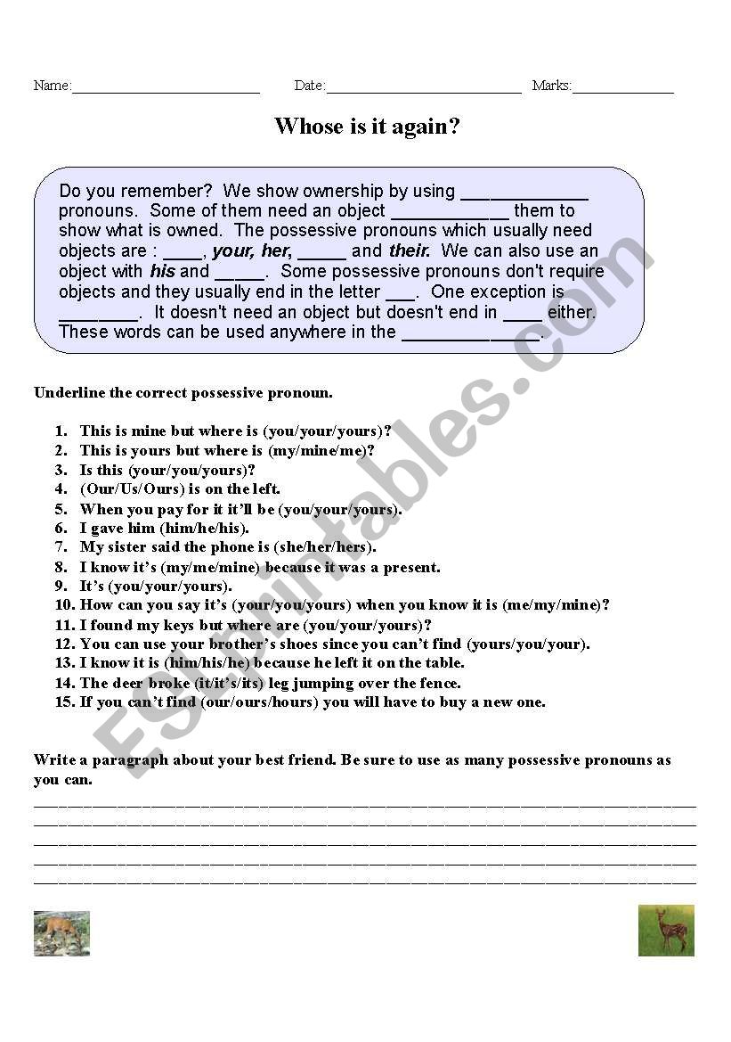 Possessive Pronouns worksheet