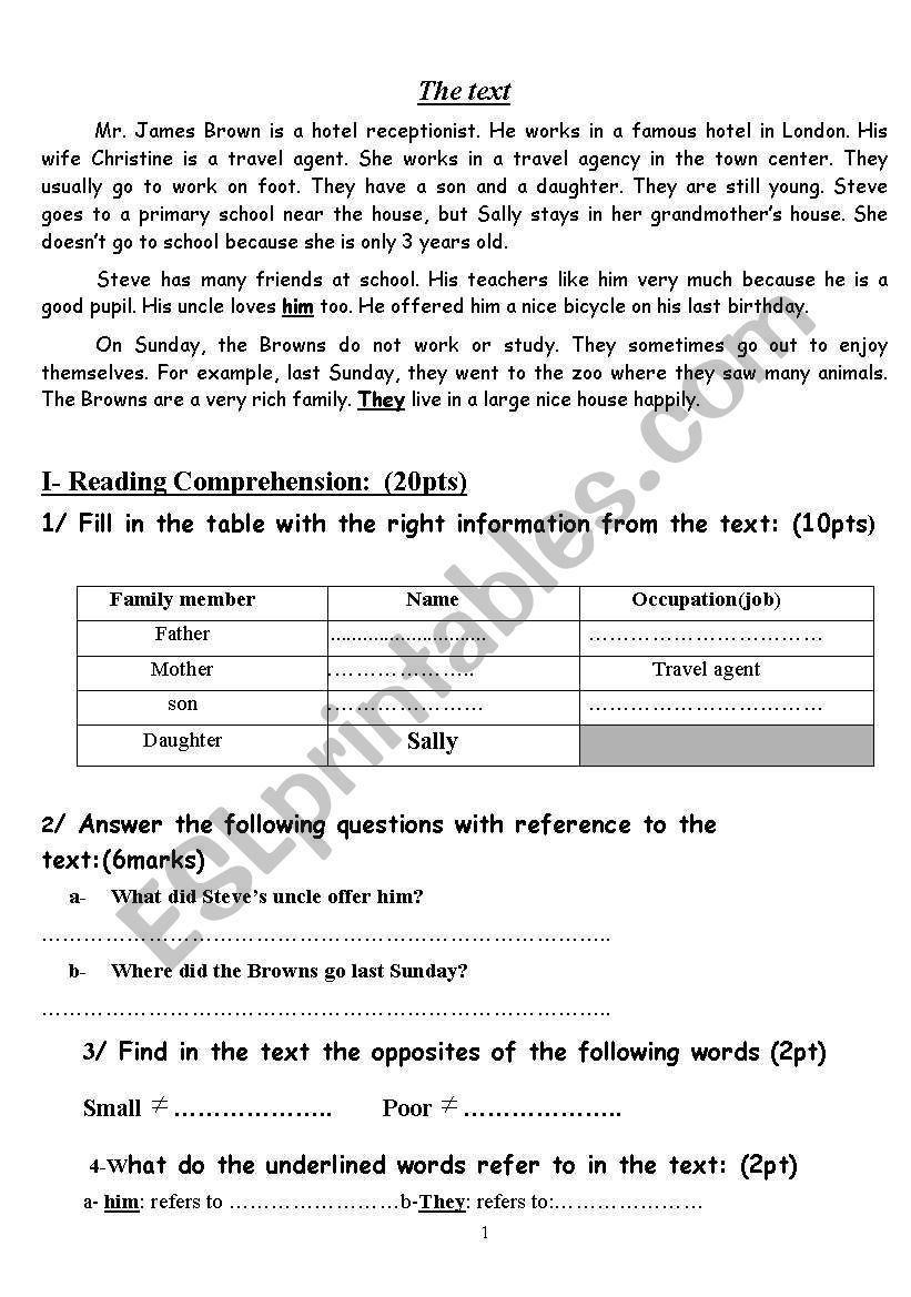 Reading comprehension worksheet