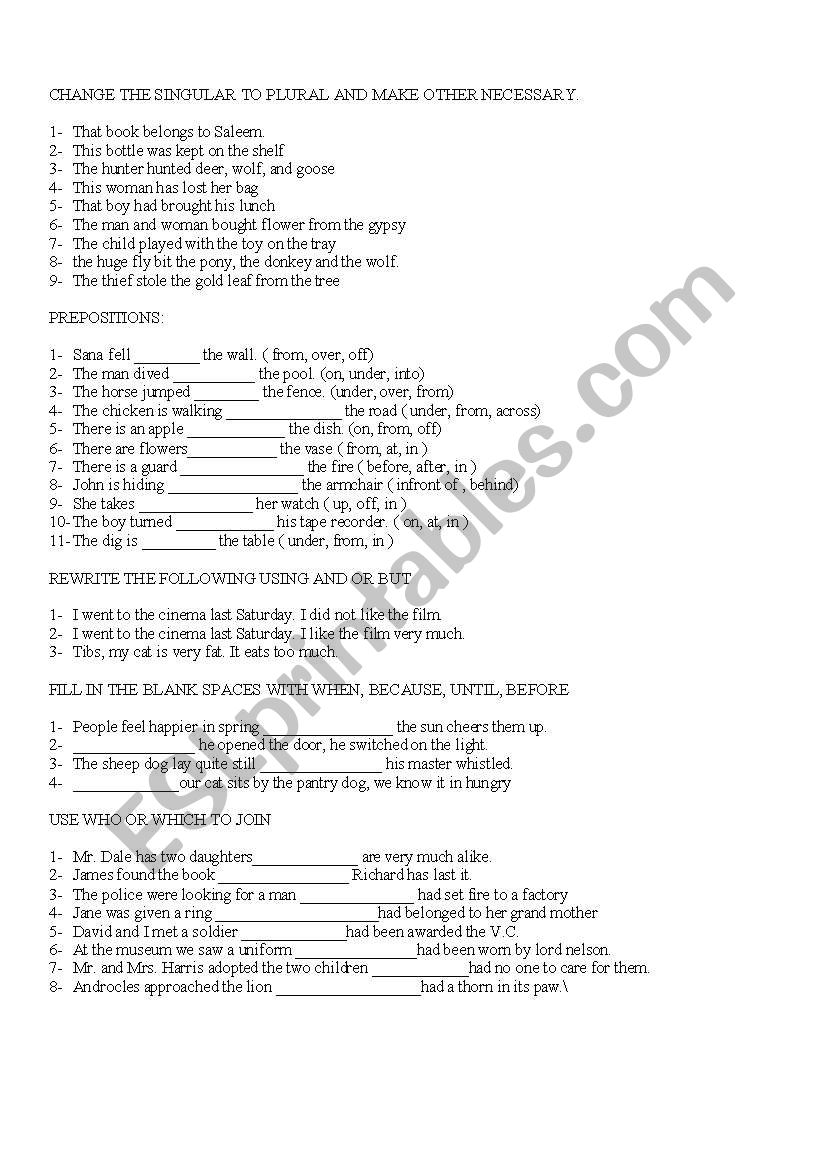 singular plural worksheet