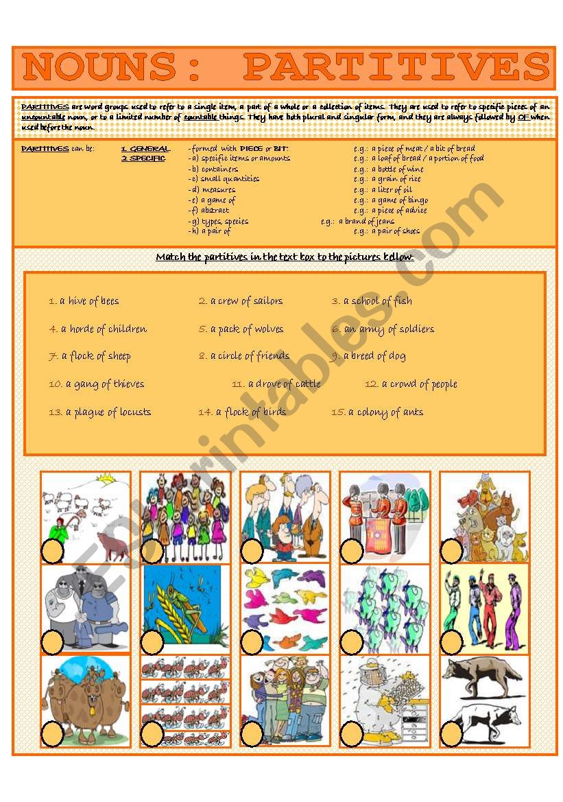 NOUNS: PARTITIVES worksheet