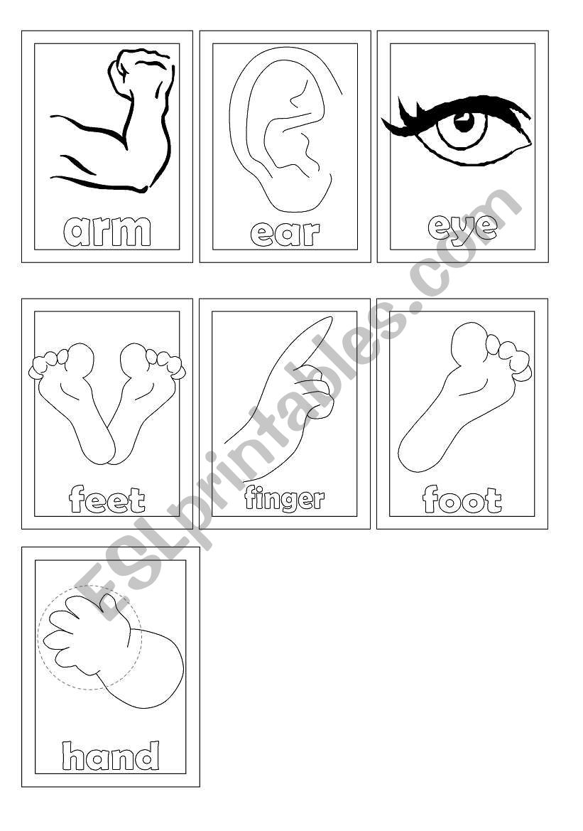 body parts worksheet