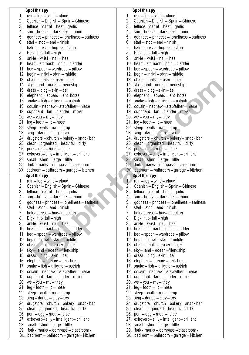 Spot the Spy worksheet