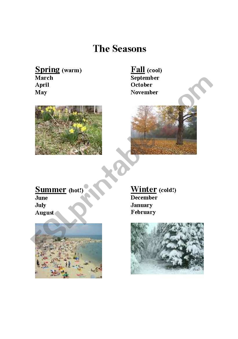 The Seasons worksheet