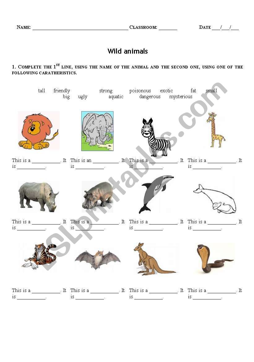 Wild animals worksheet