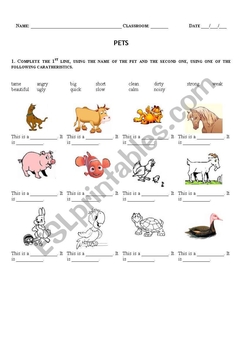 Pets worksheet