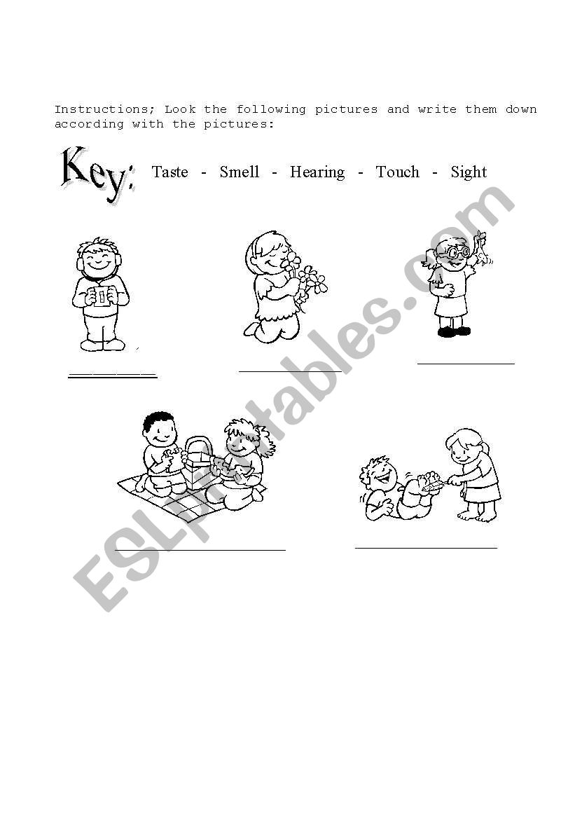 the sense worksheet