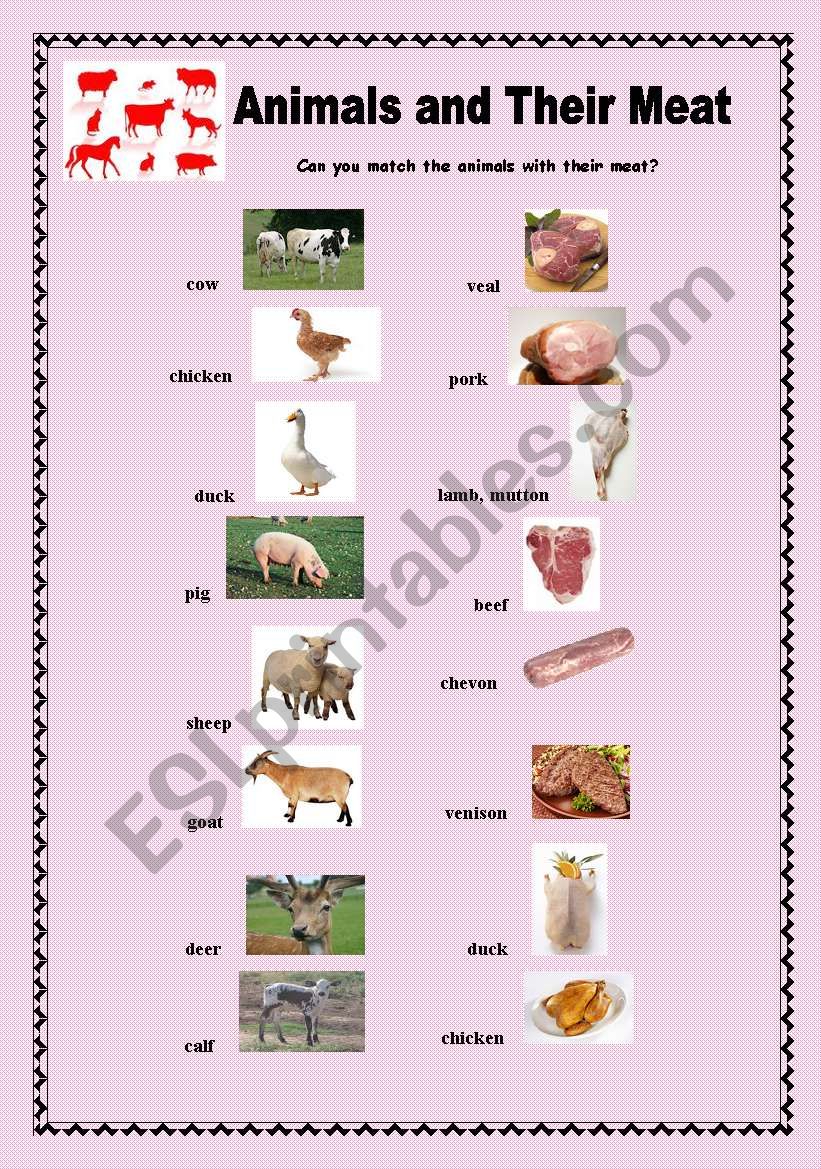 Animals and their meat worksheet