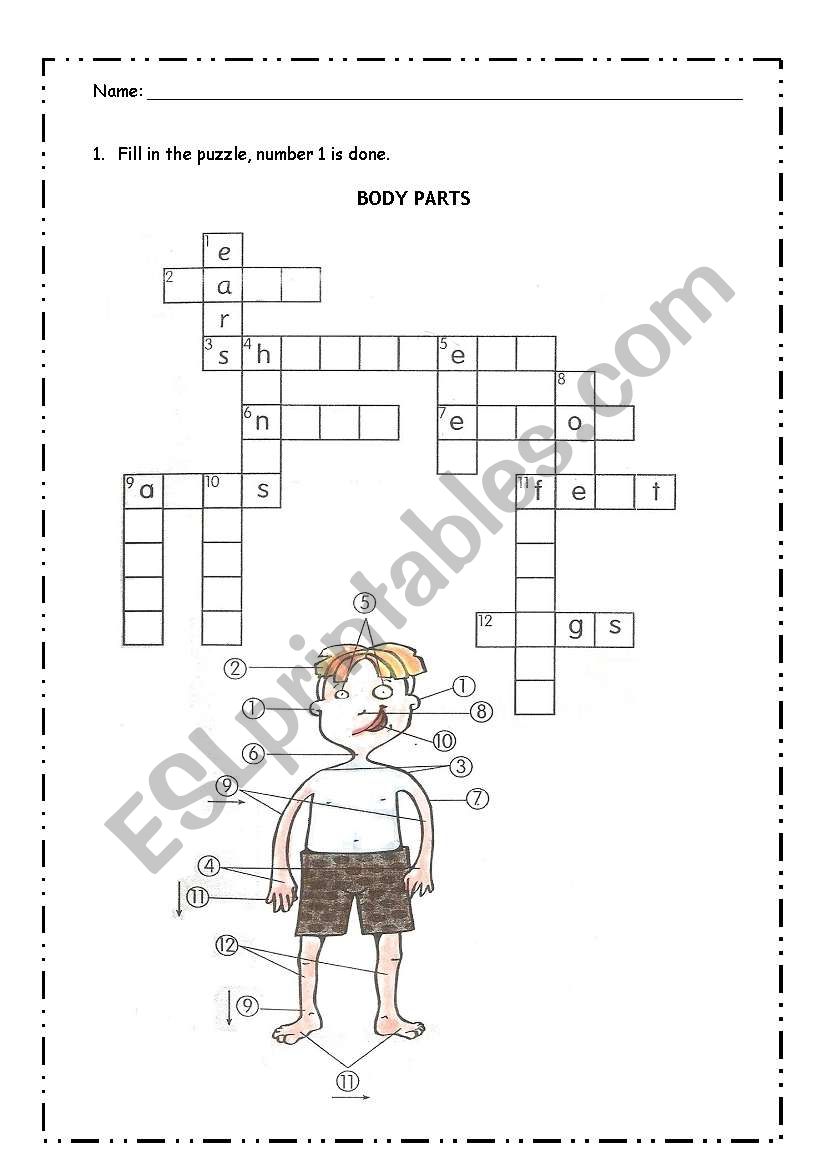 bod worksheet