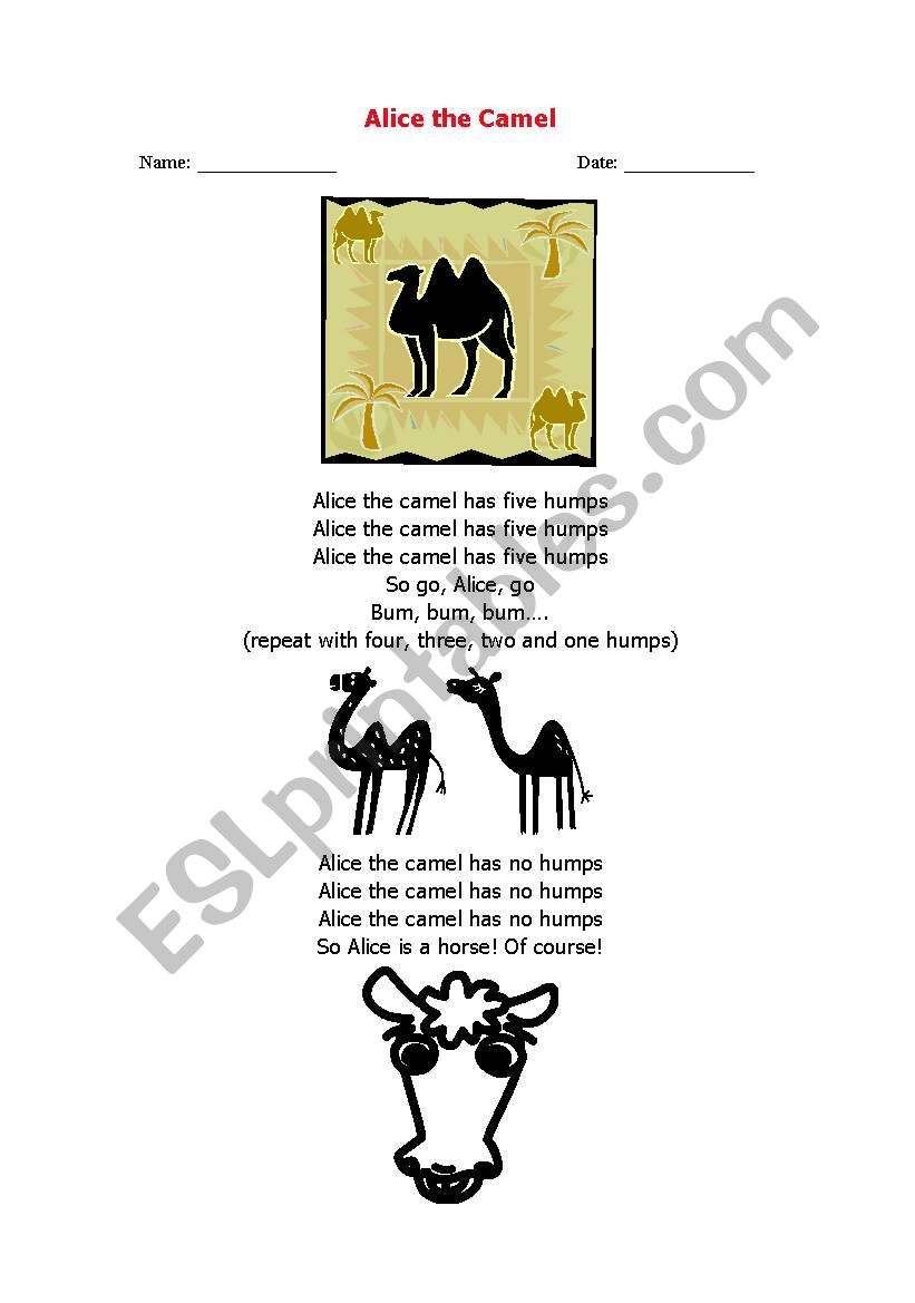 Song- Alice the Camel worksheet