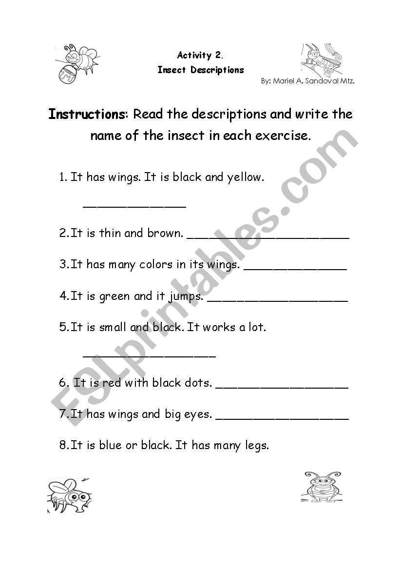 Insect descriptions worksheet