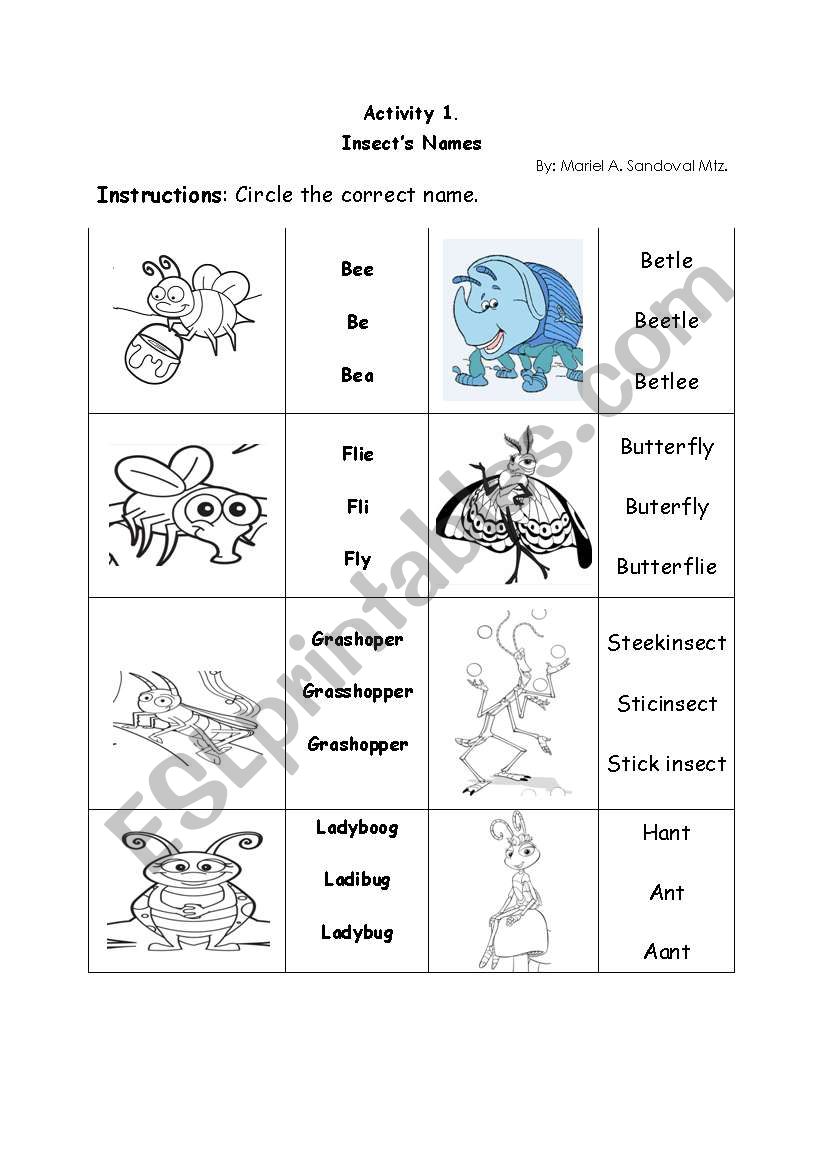 Insects names worksheet