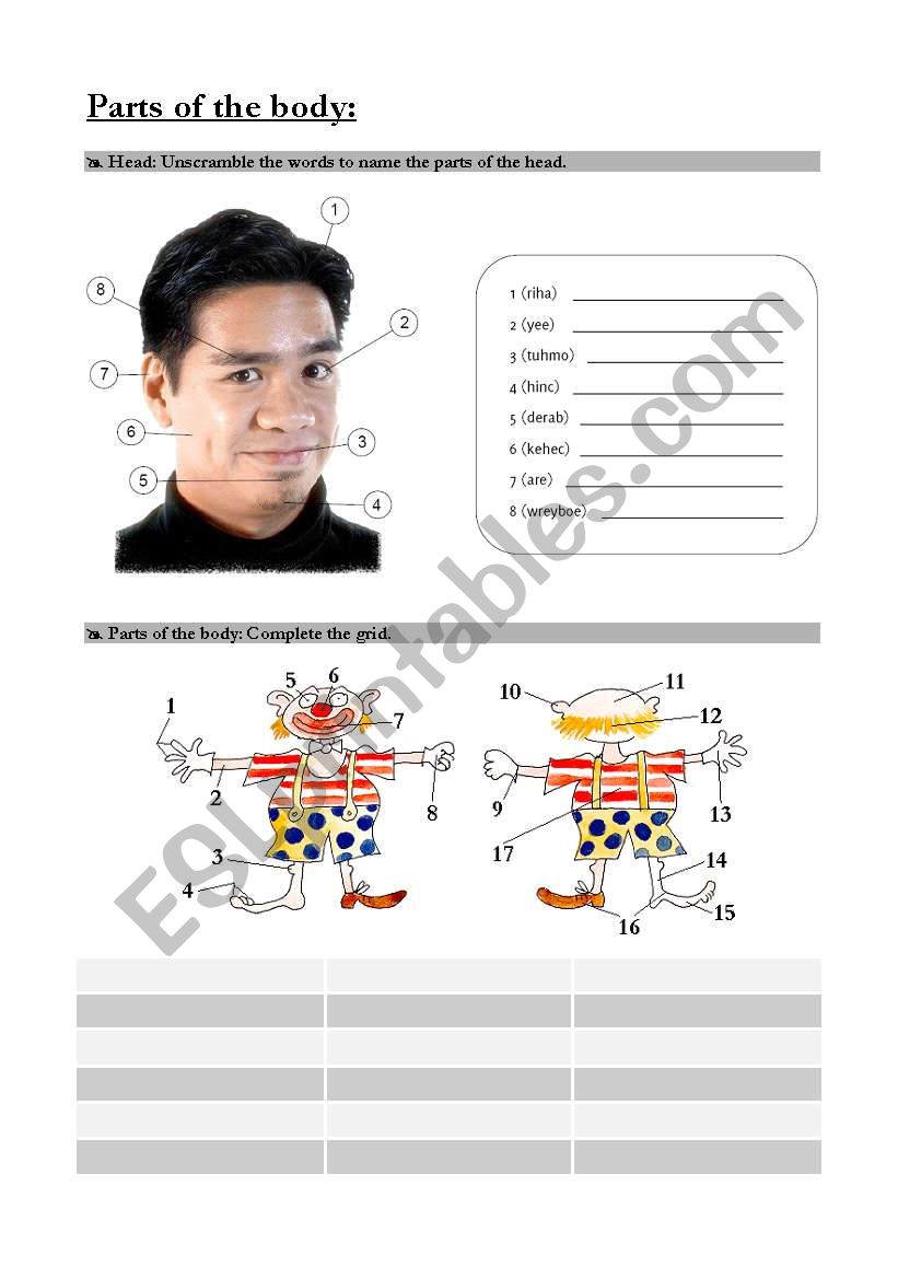 Parts of the body worksheet