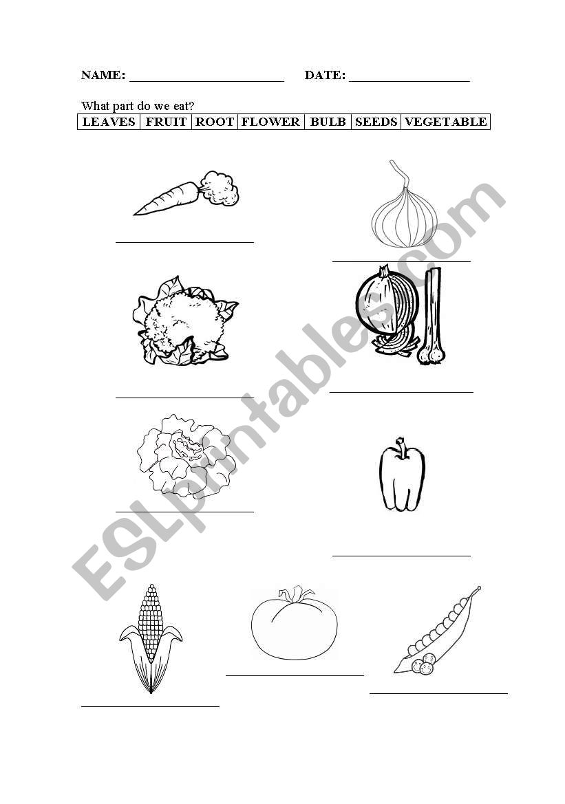 Vegetables worksheet