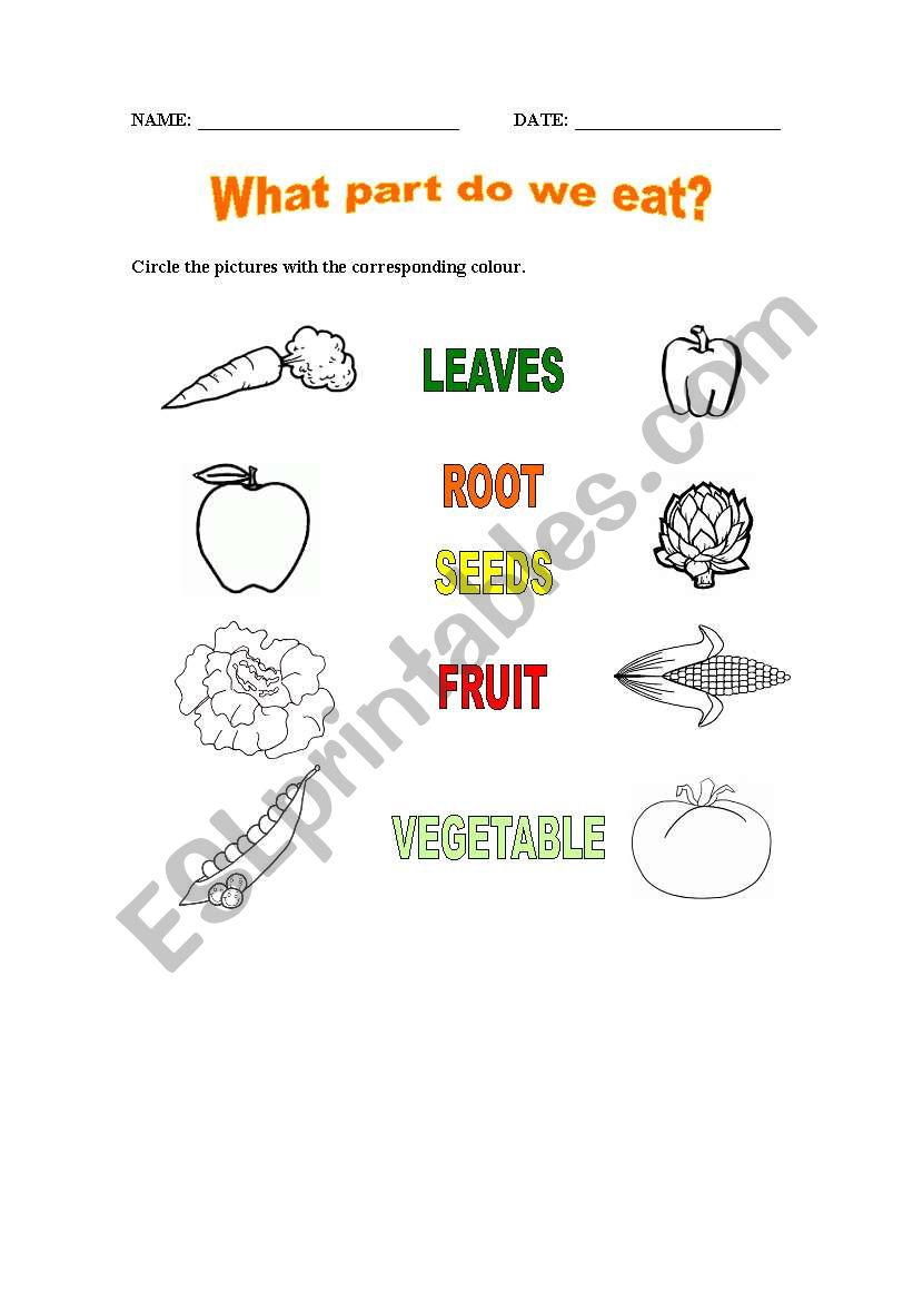 What parts do we eat? Vegetables II