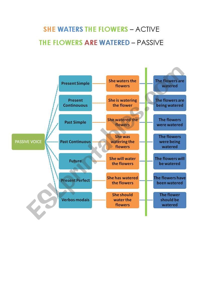 Passive Voice Grammar-Guide worksheet