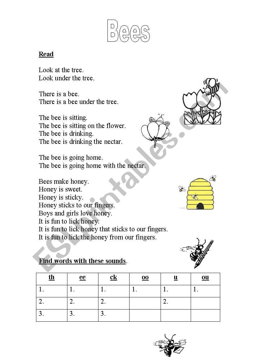 Bees (2 pages) worksheet