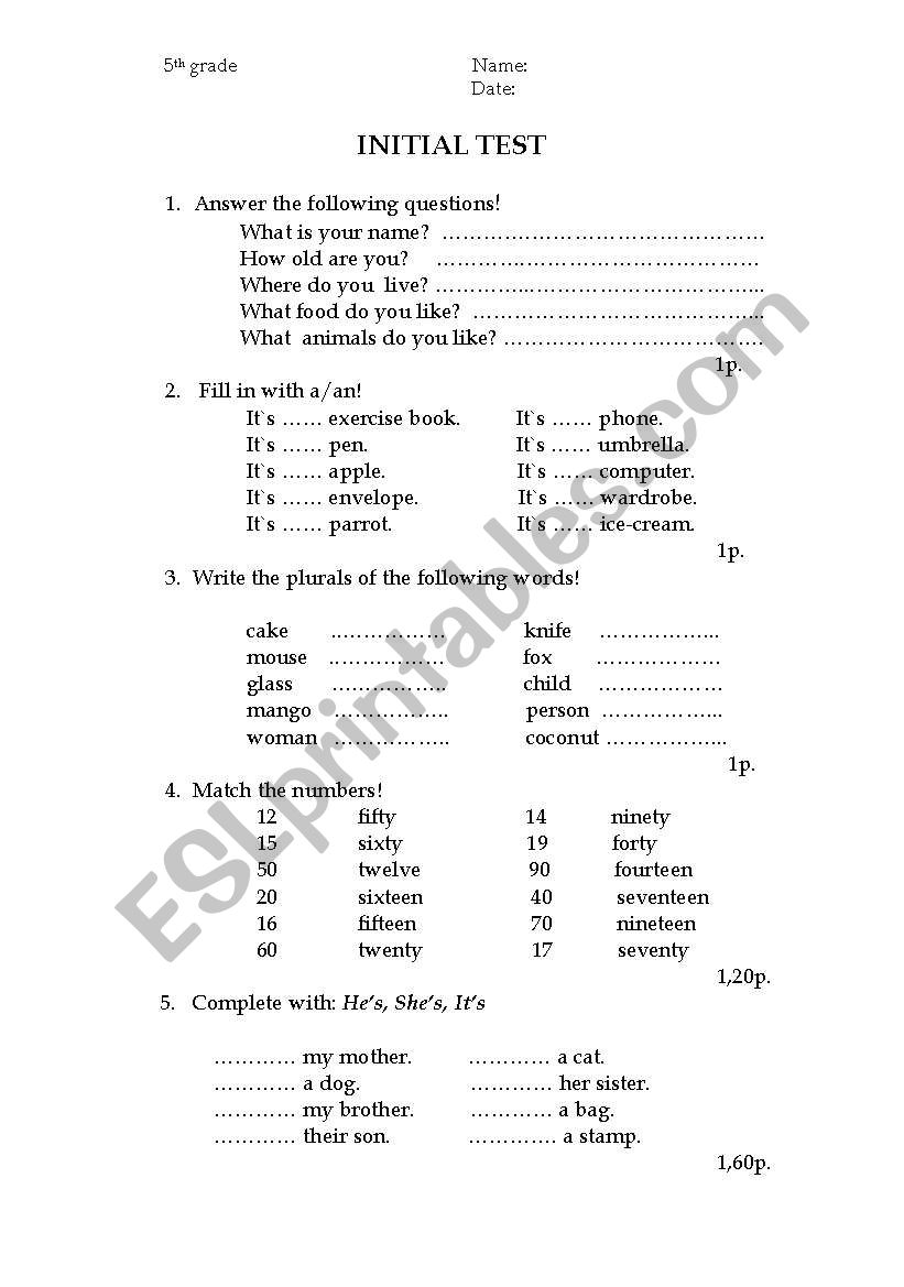 Initial test   5th  grade worksheet