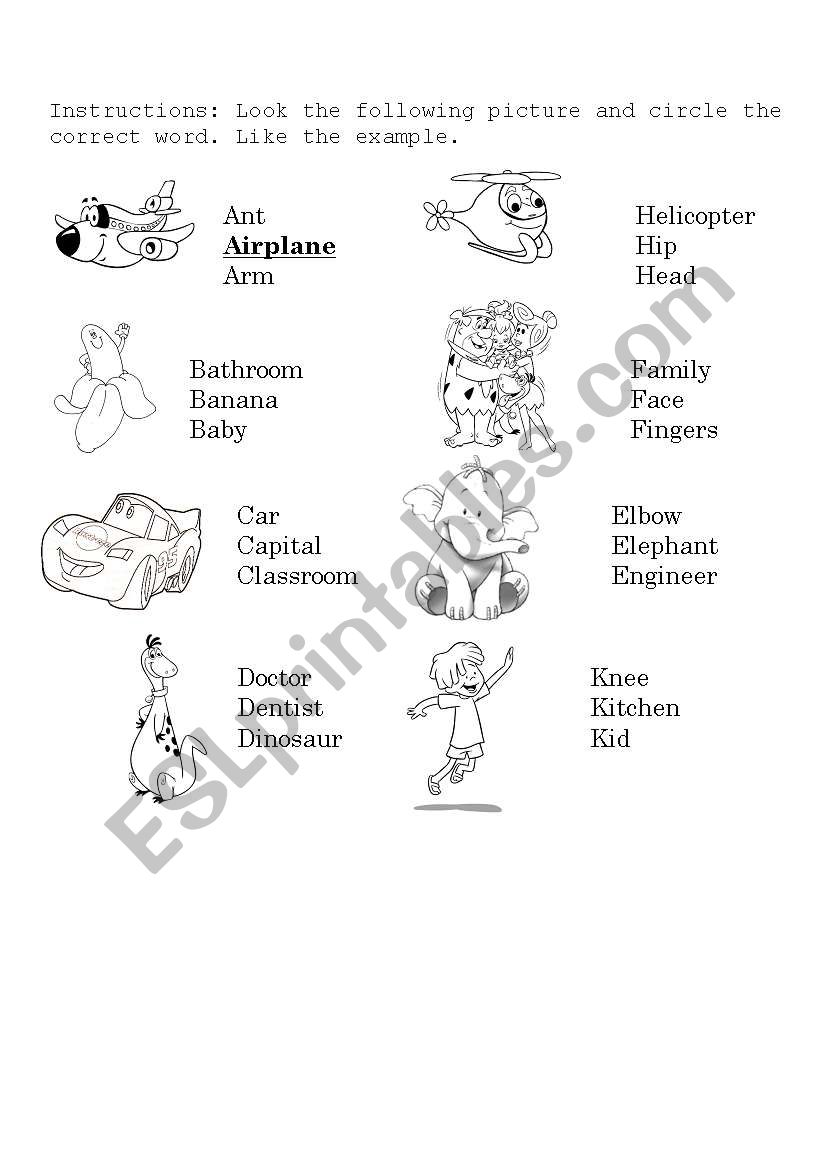 the correct word worksheet