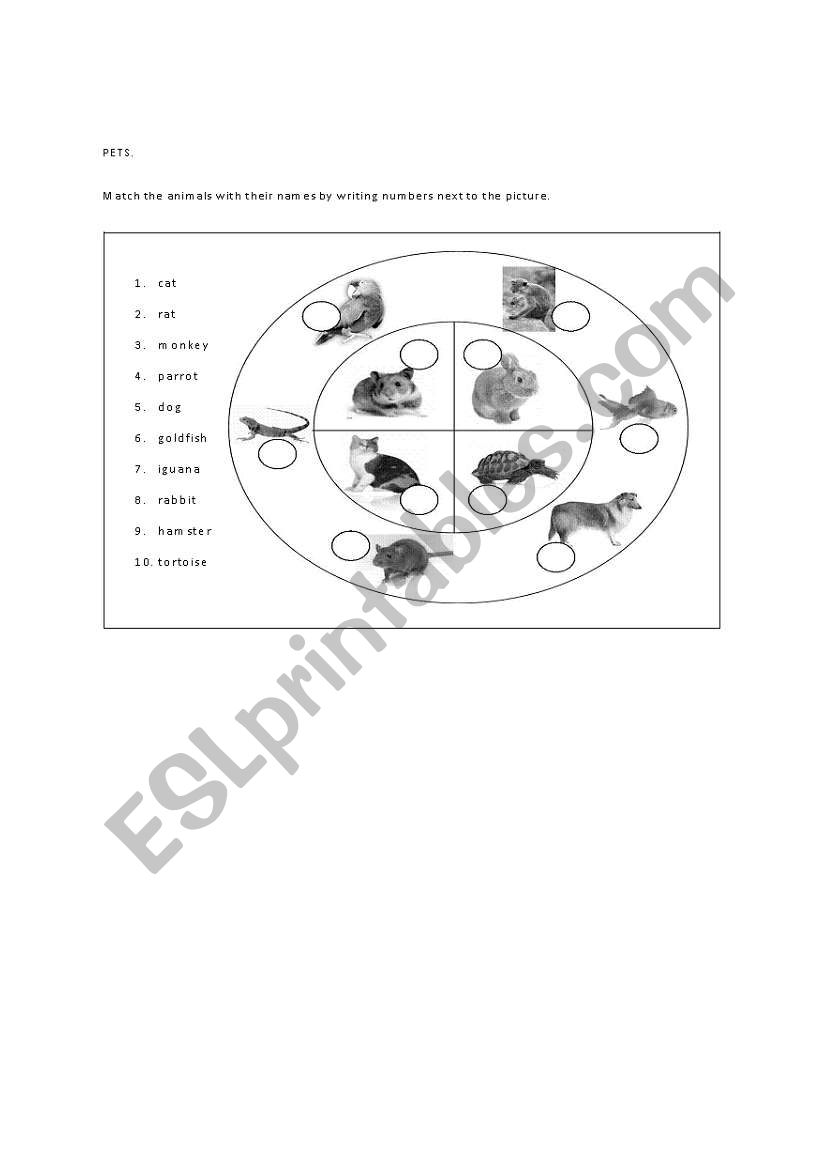 PETS worksheet