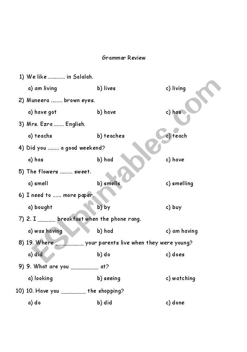 Grammar Test  worksheet