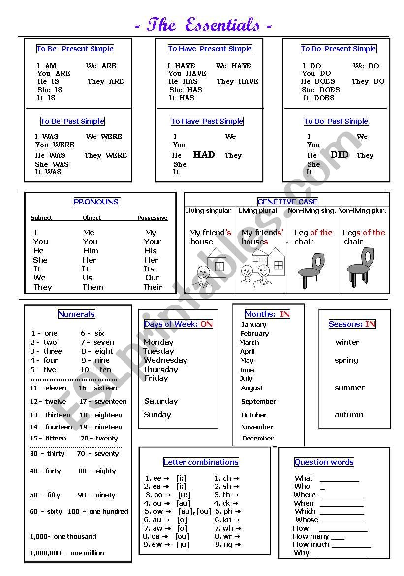 The Essentials of English Grammar