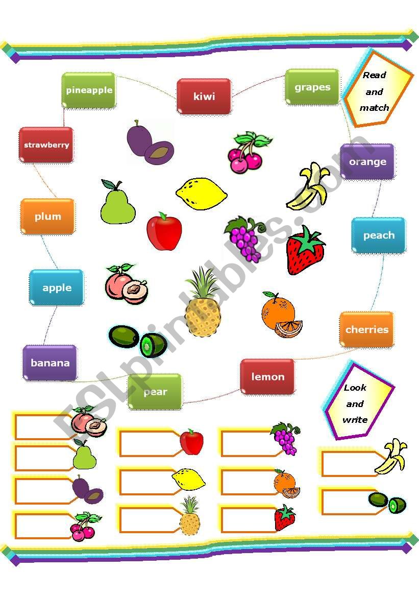 FRUIT worksheet