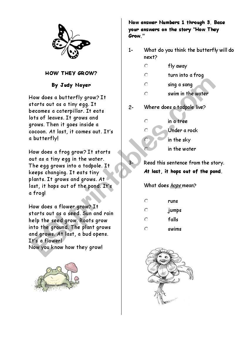 how they grow worksheet