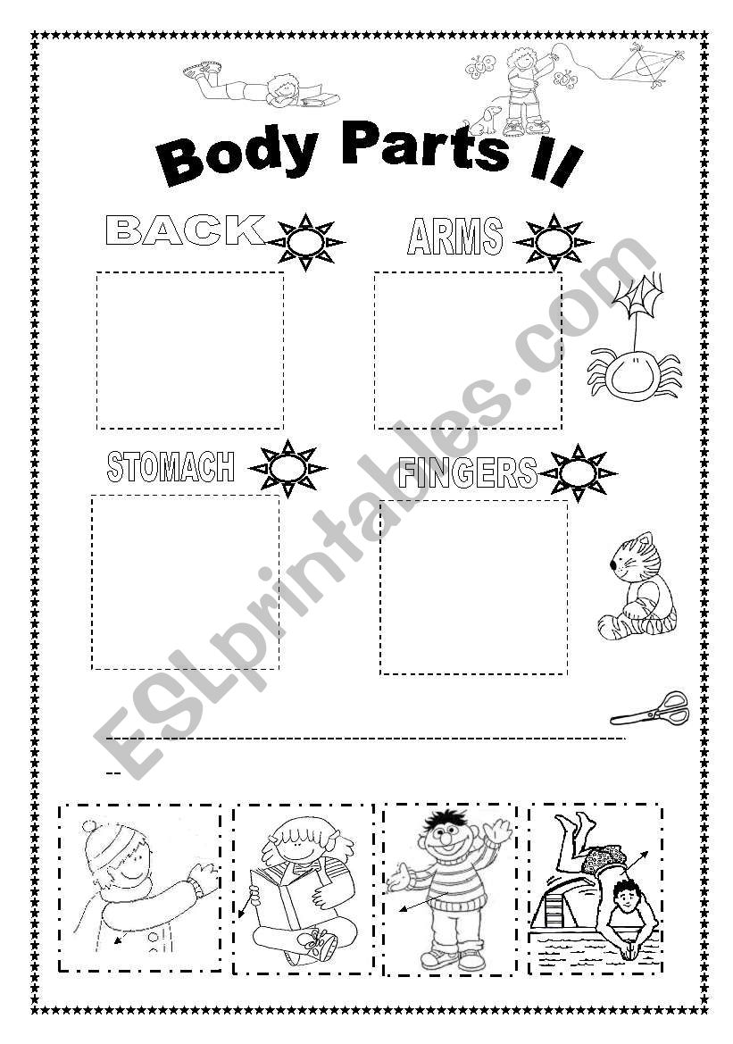 BODY PARTS (2) worksheet