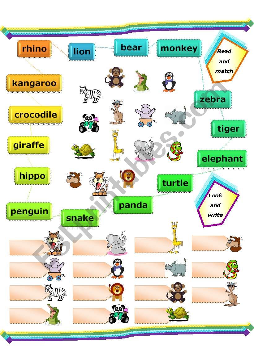 ANIMALS worksheet