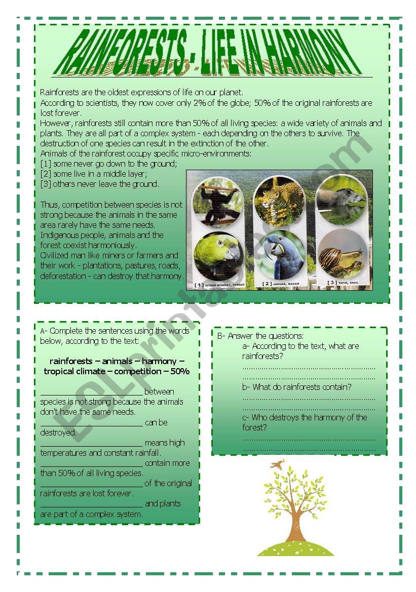 Rainforests - Life in Harmony worksheet