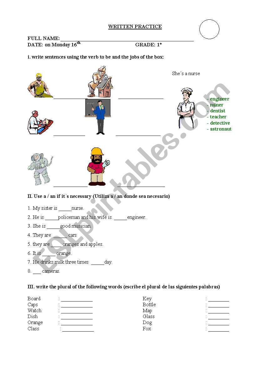 singulars and plurals worksheet