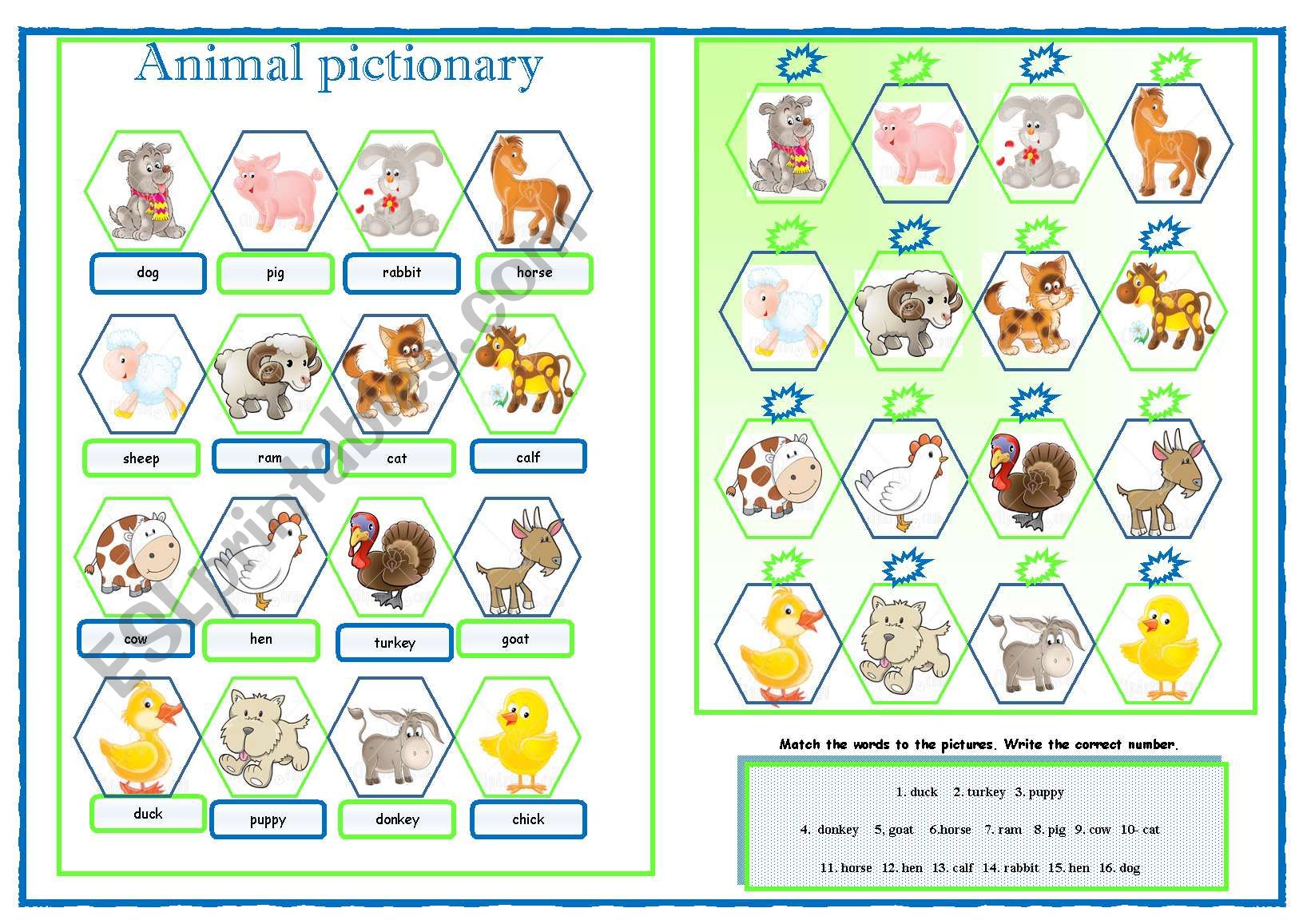 ANIMALS  worksheet