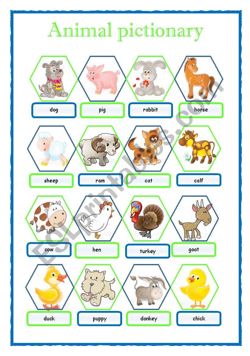 ANIMAL PICTIONARY worksheet