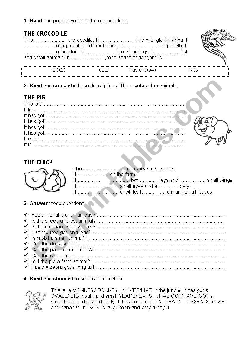 animal descriptions  worksheet